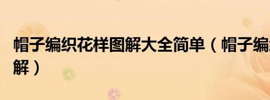 帽子编织花样图解大全简单（帽子编织花样图解）