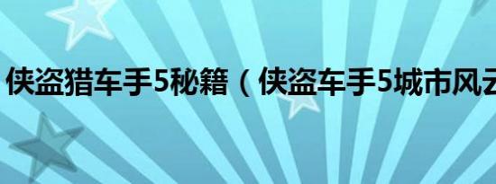 侠盗猎车手5秘籍（侠盗车手5城市风云秘籍）