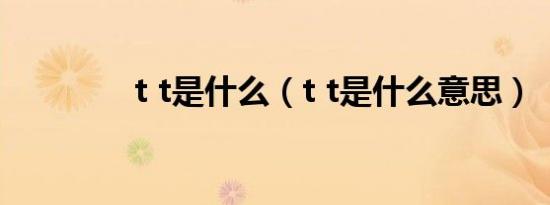 t t是什么（t t是什么意思）