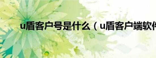 u盾客户号是什么（u盾客户端软件）