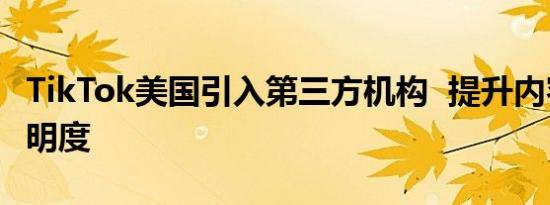 TikTok美国引入第三方机构  提升内容审核透明度
