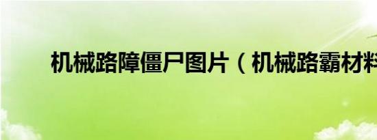 机械路障僵尸图片（机械路霸材料）