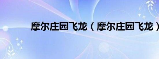 摩尔庄园飞龙（摩尔庄园飞龙）