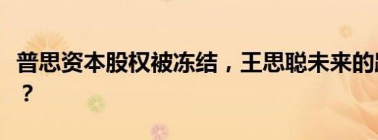 普思资本股权被冻结，王思聪未来的路在何方？
