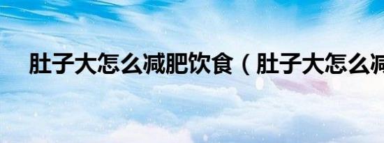 肚子大怎么减肥饮食（肚子大怎么减肥）