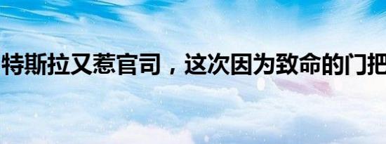 特斯拉又惹官司，这次因为致命的门把手设计