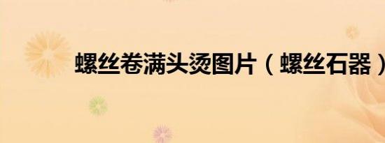 螺丝卷满头烫图片（螺丝石器）
