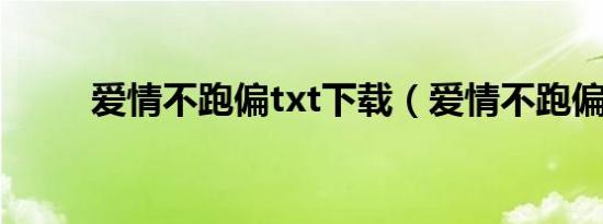 爱情不跑偏txt下载（爱情不跑偏）