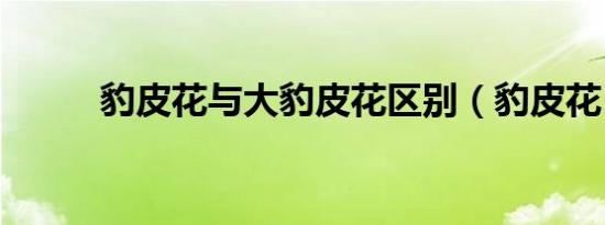 豹皮花与大豹皮花区别（豹皮花）