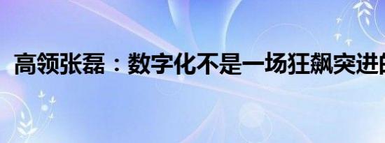 高领张磊：数字化不是一场狂飙突进的运动