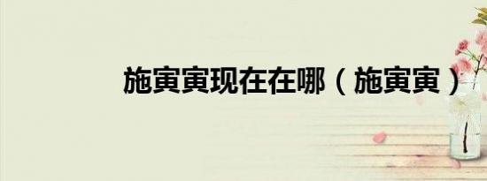 施寅寅现在在哪（施寅寅）