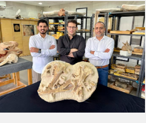 揭开4100万年前英年早逝的鲸鱼法老图西图斯的故事