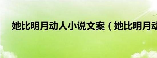 她比明月动人小说文案（她比明月动人）
