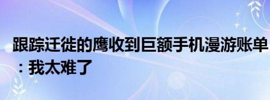 跟踪迁徙的鹰收到巨额手机漫游账单，科学家：我太难了