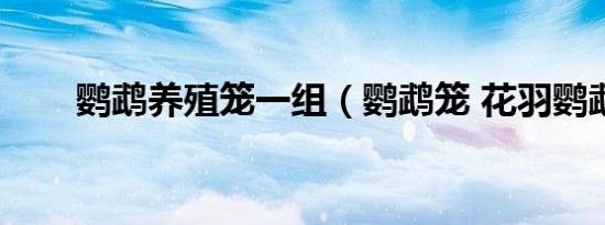 鹦鹉养殖笼一组（鹦鹉笼 花羽鹦鹉）