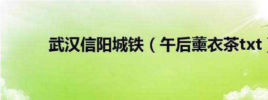 武汉信阳城铁（午后薰衣茶txt）