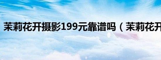 茉莉花开摄影199元靠谱吗（茉莉花开摄影）