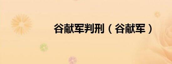 谷献军判刑（谷献军）