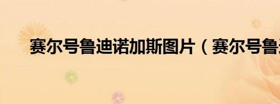 赛尔号鲁迪诺加斯图片（赛尔号鲁迪）