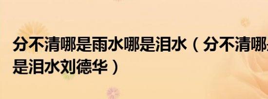 分不清哪是雨水哪是泪水（分不清哪是雨水哪是泪水刘德华）