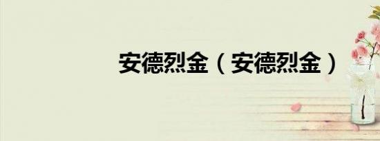 安德烈金（安德烈金）