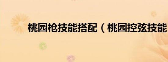桃园枪技能搭配（桃园控弦技能）