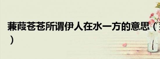 蒹葭苍苍所谓伊人在水一方的意思（蒹葭苍苍）