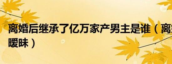 离婚后继承了亿万家产男主是谁（离婚后继续暧昧）