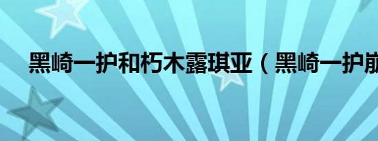 黑崎一护和朽木露琪亚（黑崎一护崩解）