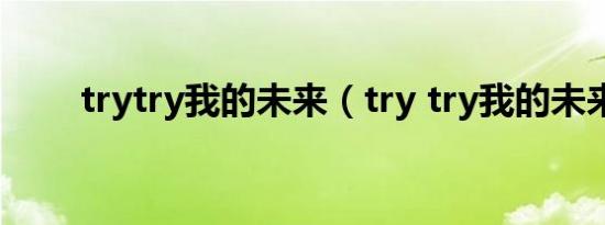 trytry我的未来（try try我的未来）