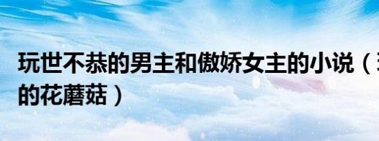 玩世不恭的男主和傲娇女主的小说（玩世不恭的花蘑菇）