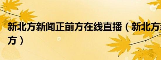 新北方新闻正前方在线直播（新北方新闻正前方）