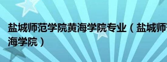 盐城师范学院黄海学院专业（盐城师范学院黄海学院）