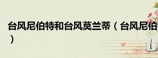 台风尼伯特和台风莫兰蒂（台风尼伯特路径图）