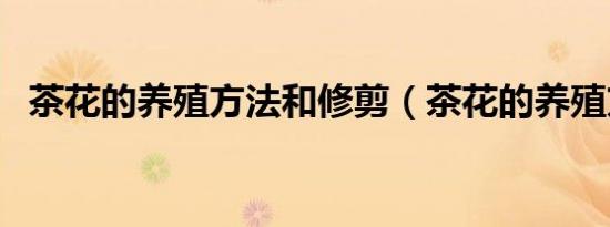 茶花的养殖方法和修剪（茶花的养殖方法）