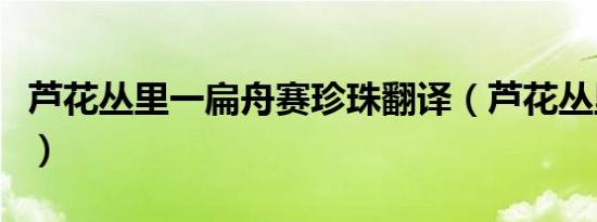 芦花丛里一扁舟赛珍珠翻译（芦花丛里一扁舟）