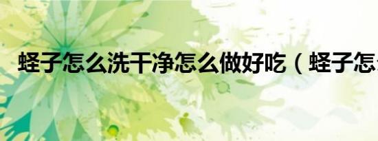 蛏子怎么洗干净怎么做好吃（蛏子怎么洗）