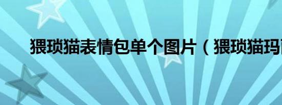 猥琐猫表情包单个图片（猥琐猫玛丽）