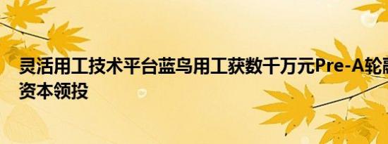 灵活用工技术平台蓝鸟用工获数千万元Pre-A轮融资，青山资本领投