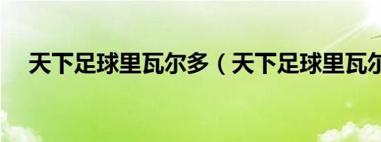 天下足球里瓦尔多（天下足球里瓦尔多）
