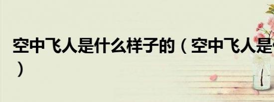 空中飞人是什么样子的（空中飞人是什么意思）