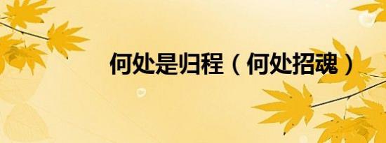 何处是归程（何处招魂）