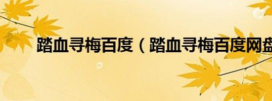 踏血寻梅百度（踏血寻梅百度网盘）