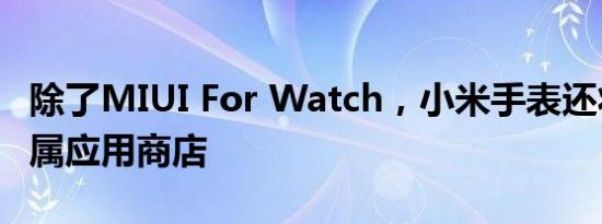 除了MIUI For Watch，小米手表还将拥有专属应用商店