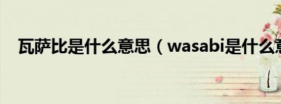 瓦萨比是什么意思（wasabi是什么意思）