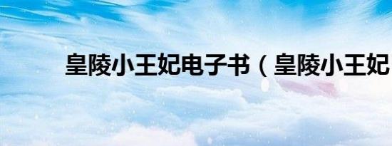 皇陵小王妃电子书（皇陵小王妃）