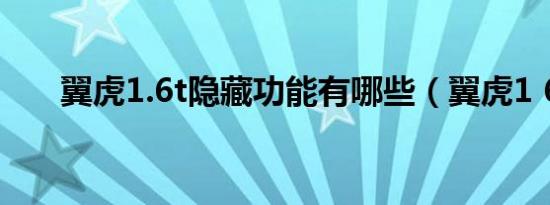 翼虎1.6t隐藏功能有哪些（翼虎1 6t）
