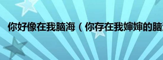 你好像在我脑海（你存在我婶婶的脑海里）