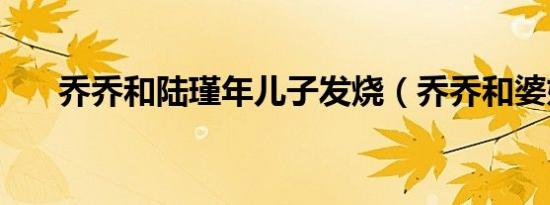 乔乔和陆瑾年儿子发烧（乔乔和婆妈）