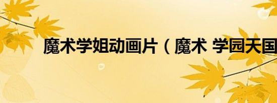 魔术学姐动画片（魔术 学园天国）